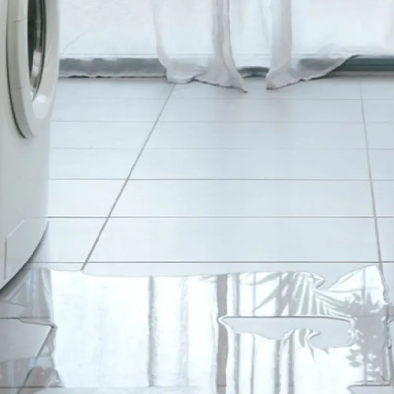 Appliance Leak Cleanup in Selma, TX